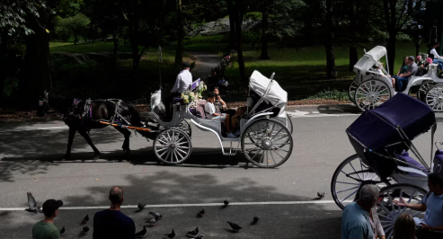 With Central Park now crowded with bikes and strollers, park officials are looking to phase out horse-drawn carriages